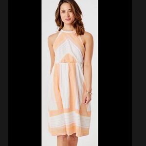 Carve Designs | Dresses | Beautiful Stretch Dress | Poshmark